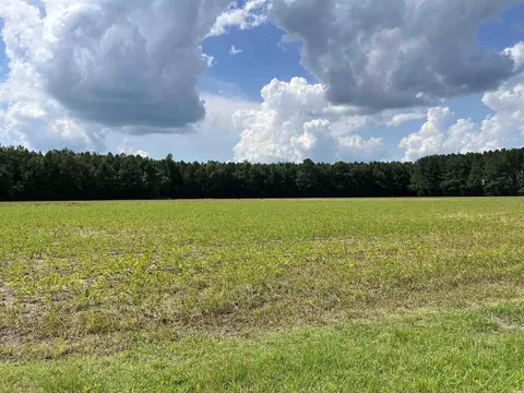 Other - 225 Pridgen Rd, Loris, SC 29569 photo 30 of 39