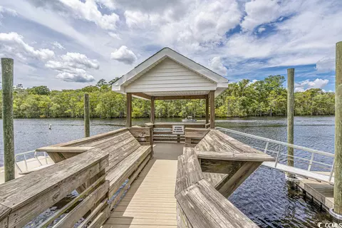 View/Area - 209 Rose Water Loop, Myrtle Beach, SC 29588 photo 9 of 12