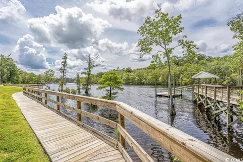 View/Area - 209 Rose Water Loop, Myrtle Beach, SC 29588 photo 10 of 12