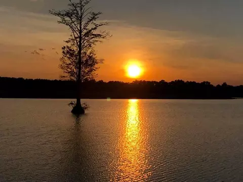 734 Cascade Loop, Little River, SC 29566 photo 8