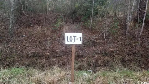 Tbd Old Forest Dr., Loris, SC 29569 photo 3
