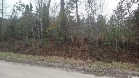 Tbd Old Forest Dr., Loris, SC 29569 photo 2