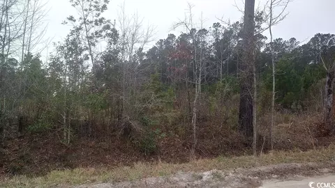 Tbd Old Forest Dr., Loris, SC 29569