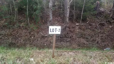 Tbd Old Forest Dr., Loris, SC 29569 photo 3