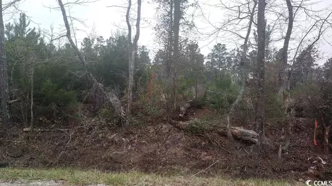 Tbd Old Forest Dr., Loris, SC 29569 photo 2