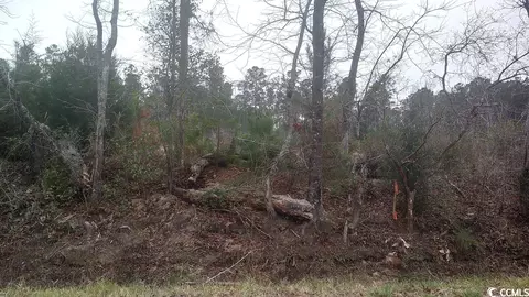 Tbd Old Forest Dr., Loris, SC 29569
