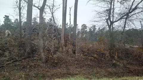 tbd Old Forest Dr, Loris, SC 29569 photo 2