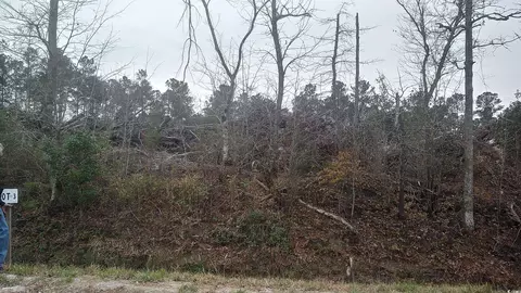 tbd Old Forest Dr, Loris, SC 29569