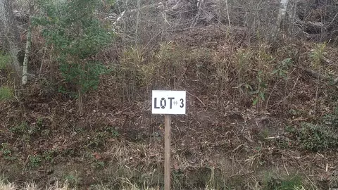 tbd Old Forest Dr, Loris, SC 29569 photo 3