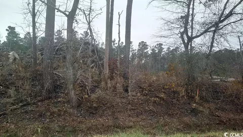 Tbd Old Forest Dr., Loris, SC 29569 photo 2