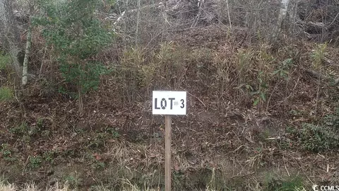 Tbd Old Forest Dr., Loris, SC 29569 photo 3