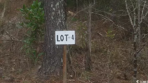 Tbd Old Forest Dr., Loris, SC 29569 photo 4