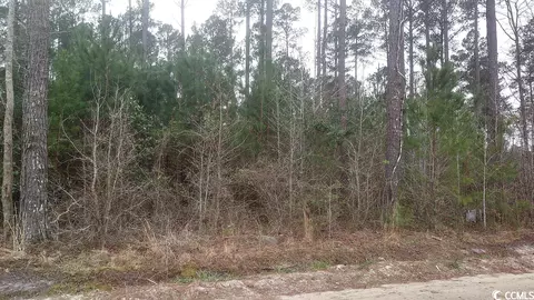 Tbd Old Forest Dr., Loris, SC 29569 photo 3