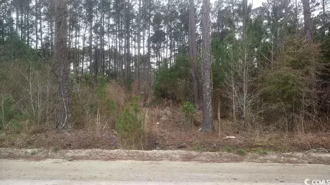 Tbd Old Forest Dr., Loris, SC 29569 photo 2