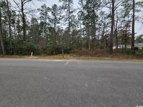 3 White Oak Lane, Galivants Ferry, SC 29544