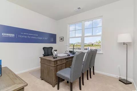 Other - 4005 Pearl Tabby Dr, Myrtle Beach, SC 29588 photo 1 of 5