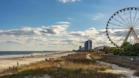 View/Area - 4005 Pearl Tabby Dr, Myrtle Beach, SC 29588 photo 9 of 9