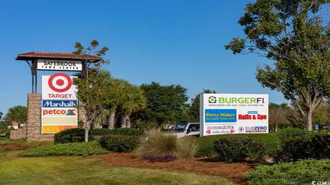 View/Area - 4005 Pearl Tabby Dr, Myrtle Beach, SC 29588 photo 1 of 9