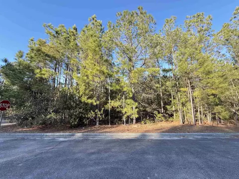 153 Bridge View Rd, Georgetown, SC 29440