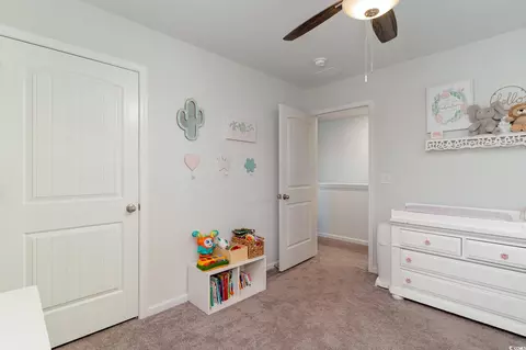 Bedroom - 10030 Hamilton Branch Loop, Myrtle Beach, SC 29579 photo 6 of 12