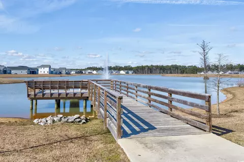 View/Area - 331 Switchgrass Loop, Little River, SC 29566 photo 5 of 5