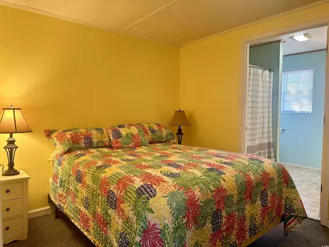 1828 Jacana Dr, Surfside Beach, SC 29575 photo 6