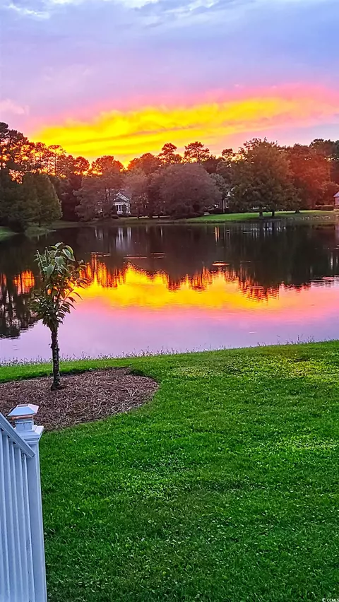 4416 Paddock Run Dr, Murrells Inlet, SC 29576 photo 40
