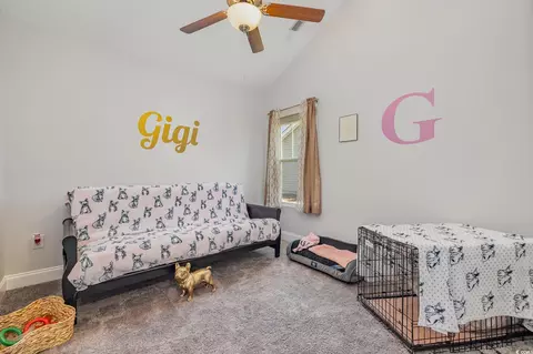 Bedroom - 356 Borrowdale Dr, Conway, SC 29526 photo 2 of 8