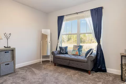 Bedroom - 356 Borrowdale Dr, Conway, SC 29526 photo 5 of 8