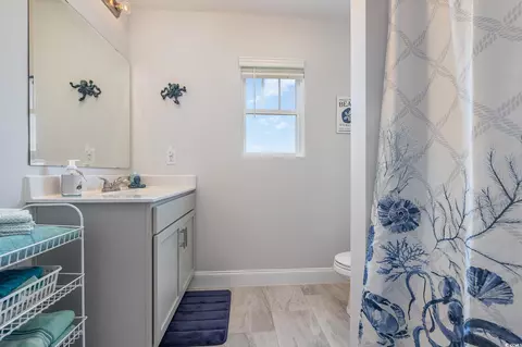Bath - 356 Borrowdale Dr, Conway, SC 29526 photo 5 of 5