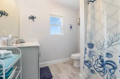 Bath - 356 Borrowdale Dr, Conway, SC 29526 photo 4 of 5