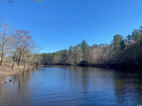 124 Lure Ct, Conway, SC 29526