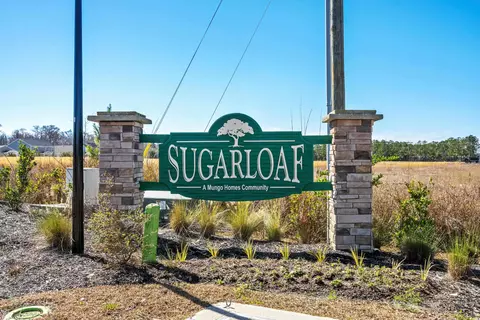 View/Area - 421 Stevia Ct, Conway, SC 29526 photo 2 of 3