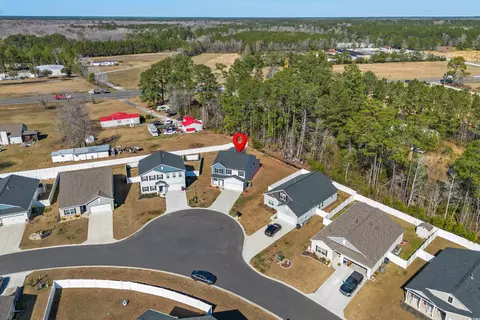 View/Area - 421 Stevia Ct, Conway, SC 29526 photo 3 of 3