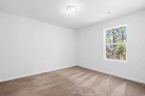 Other - 421 Stevia Ct, Conway, SC 29526 photo 7 of 11
