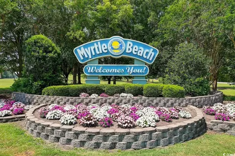 View/Area - 554 Carnaby Loop, Myrtle Beach, SC 29579 photo 6 of 7