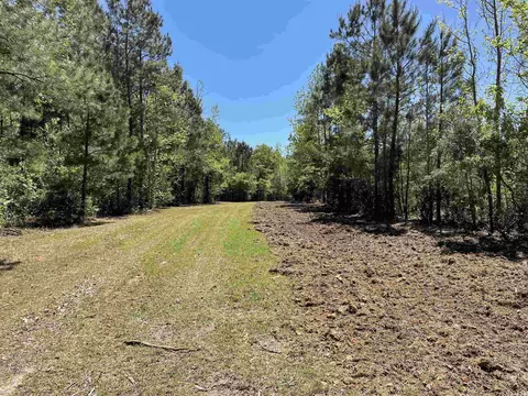 1 Santee Road, Andrews, SC 29510