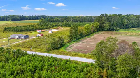 159 Dove Rd, Loris, SC 29569 photo 9