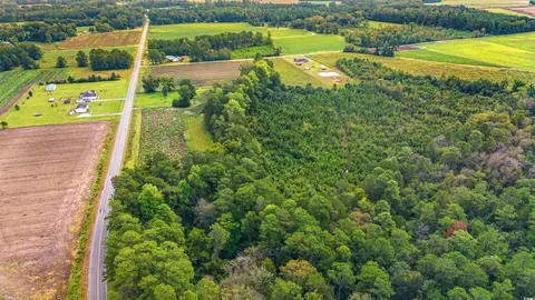 159 Dove Rd, Loris, SC 29569 photo 5