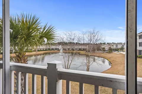 View/Area - 302 Kiskadee Loop #E, Conway, SC 29526 photo 5 of 11