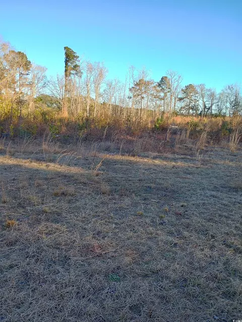 Tbd Loop Circle, Longs, SC 29568