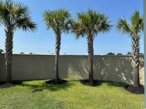252 Hull St, Surfside Beach, SC 29575 photo 27
