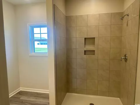 Bath - 557 Honeyhill Loop, Conway, SC 29526 photo 1 of 2