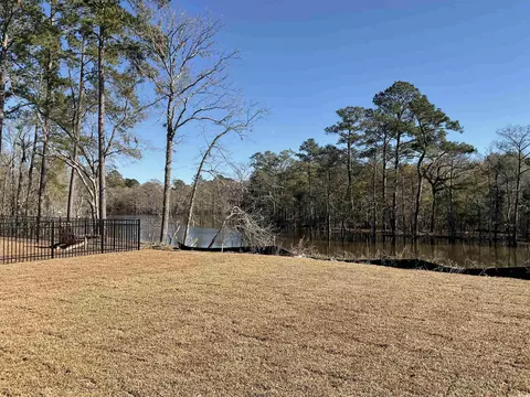 Exterior - 557 Honeyhill Loop, Conway, SC 29526 photo 3 of 9