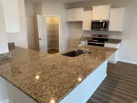 Other - 573 Honeyhill Loop, Conway, SC 29526 photo 6 of 34