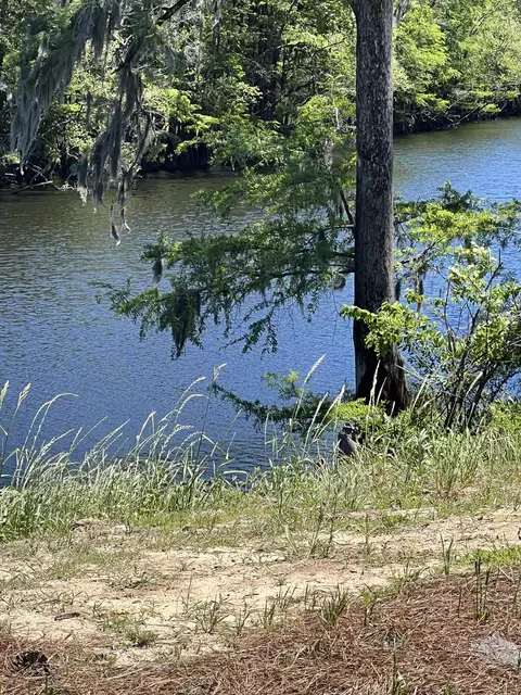 Other - 573 Honeyhill Loop, Conway, SC 29526 photo 22 of 34