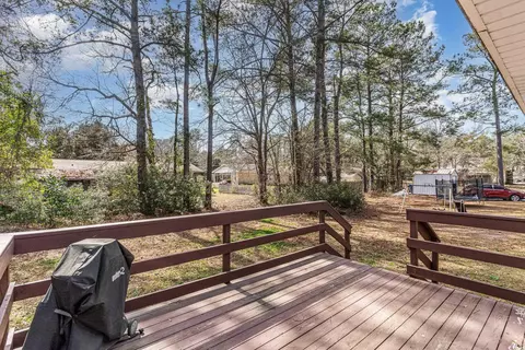View/Area - 909 Forest Loop Rd, Conway, SC 29527 photo 1 of 5
