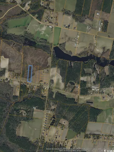 Tbd Joyner Swamp Rd., Galivants Ferry, SC 29544