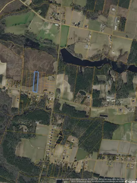 Tbd Joyner Swamp Rd., Galivants Ferry, SC 29544