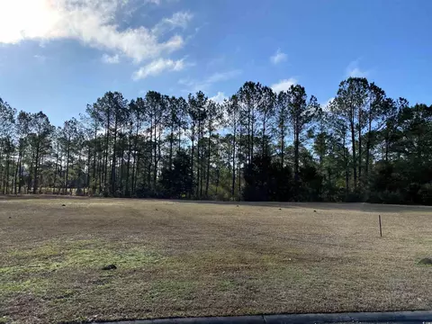 1141 Bear Lake Dr, Longs, SC 29568